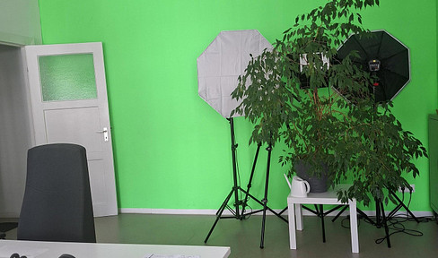 Studios für Videoproduktion/Büroräume mit Lager und Parkplatz in Mitte/Moabit