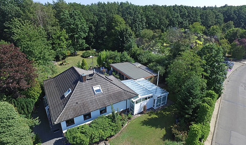 House in a dream location on the edge of the forest