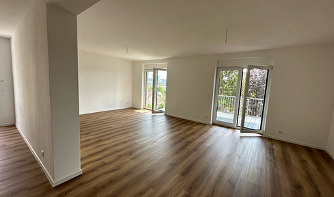 Freier Blick über's Neckartal - Neubaustandard
