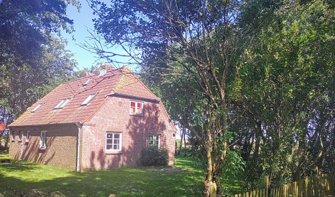 From private 1 A unobstructable dream location for nature lovers in Westerhever