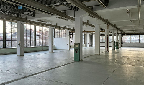 Production hall and warehouse, optionally with office space
