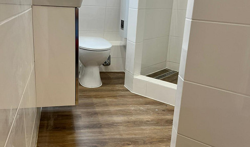 Renovated 3-room apartment