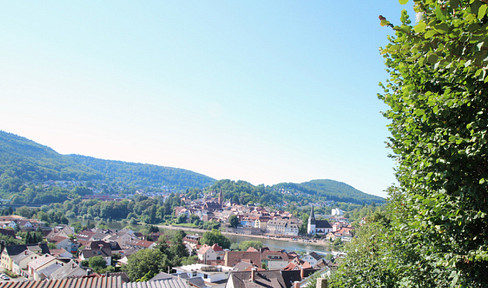 Building plot with a view of the Neckar in a sought-after location in Kleingemünd