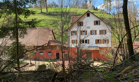 House in a completely secluded location for rent / for sale