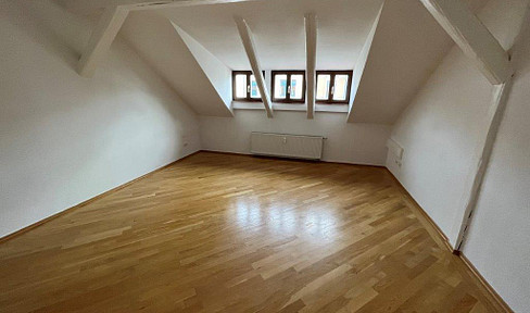 Cozy 2-room attic apartment in an attractive inner-city location