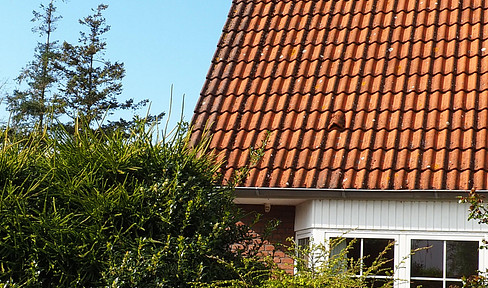 Meerblick in Kalifornien an der Ostsee