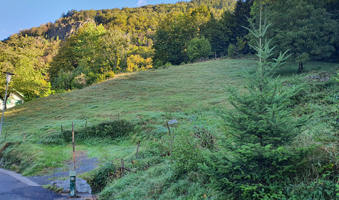 Building plot in Todtnau (Schlechtnau)