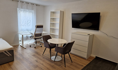 Helle, sanierte, möbilierte 1 Zimmer Wohnung, ideal für Studenten und Berufspendler