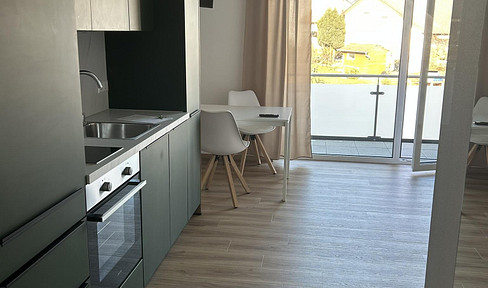 Smart 1-room apartment for commuters and young professionals