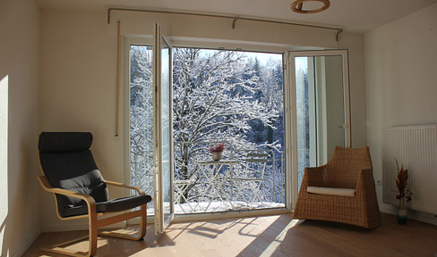 Furnished 1.5-room apartment with balcony and garden.