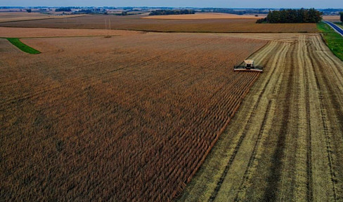 Sale of farmland and meadows near the German border