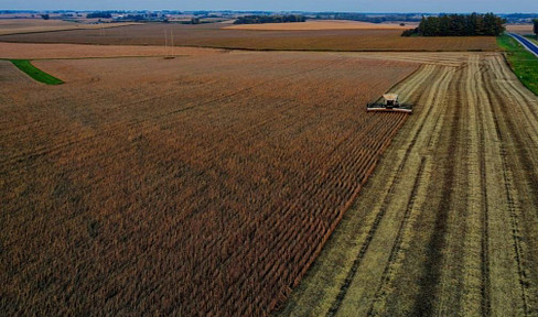 Sale of farmland and meadows near the German border