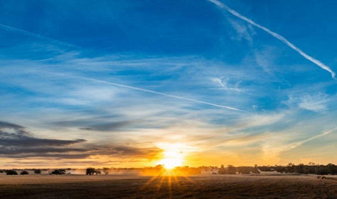 Farmland - Photovoltaics - Sale - Lease - Complete offer in an attractive location