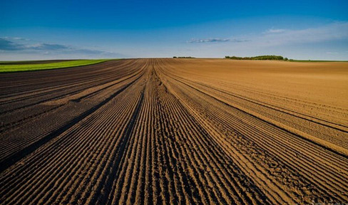 Sale of farmland and meadows near the German border