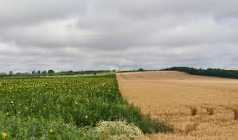 Sale of farmland and meadows near the German border