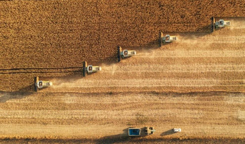 Farmland - Photovoltaics - Sale - Lease - Complete offer in an attractive location