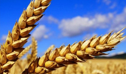 Ackerland • Photovoltaik • Verkauf • Pacht – Komplettangebot in attraktiver Lage