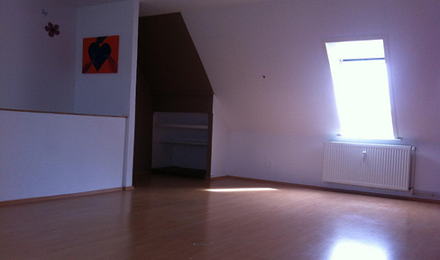 quiet, bright cozy apartment