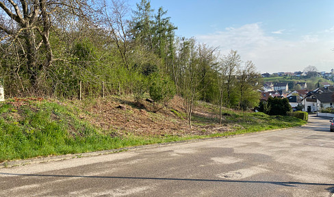 Exklusives Hanggrundstück, an Wald angrenzend