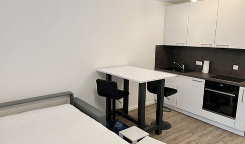 Luxuriöse Neubauwohnung  28 m2 Nürnberg