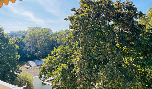 Completely renovated apartment with a view of Goethe Park.