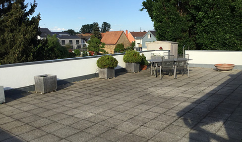 Apartment in Neustadt/Weinstrasse with large sun terrace