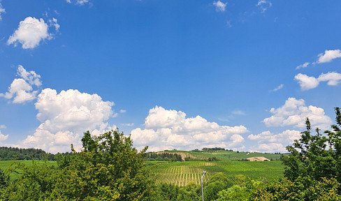 Tastefully decorated 4-room apartment - Kiedrich.