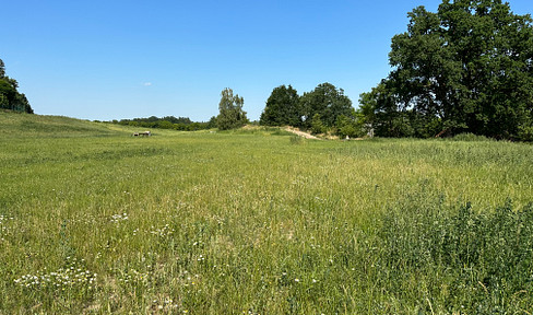Quiet building plot in Breetze.
