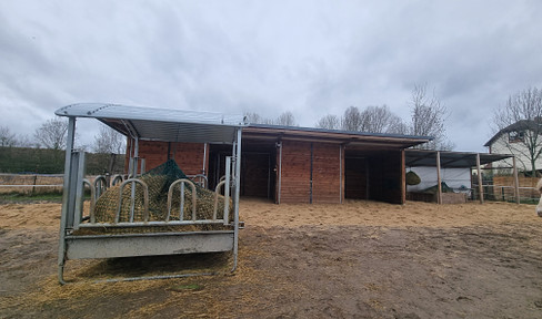 Detached house with horse paradise