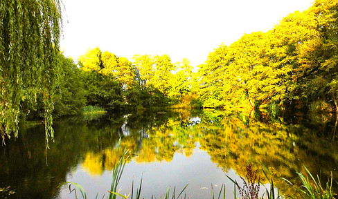 Traumhaus am See