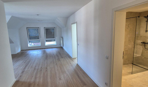 Renovated attic apartment with a balcony.