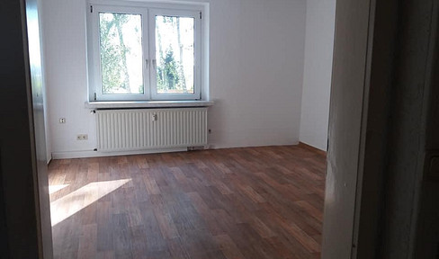 Helle schöne 2R-Wohnung 50 qm mit Einbauküche, Tageslicht-Bad, ruhige Lage Nähe Döbeln