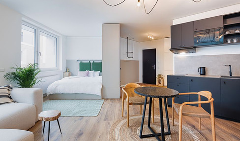 Möbliertes großes Studio-Apartment am Hauptbahnhof