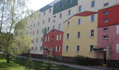 Renovated 4 room apartment with balcony and EBK, Pilzheide in Walddrehna