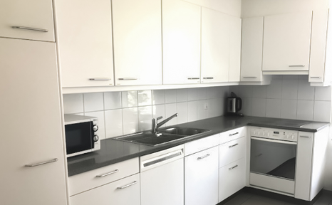 New rental 2-room apartment in Schramberg