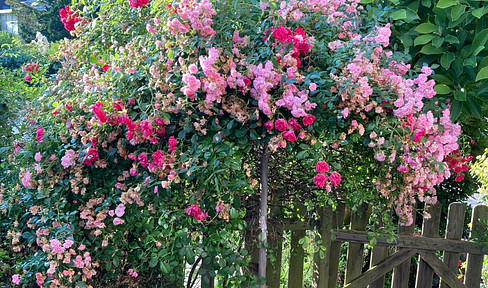 = von PRIVAT = 2 sonnige BAUPLÄTZE mit Baugenehmigung und Planung in ruhiger Süd - Lage