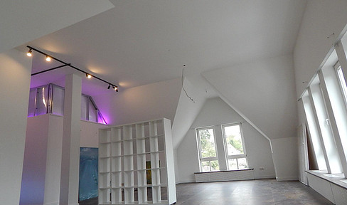 5* commercial and residential space: representative, unique, versatile, renovated, first occupancy, private!