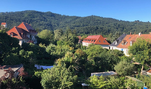 Maisonette-Wohnung in Freiburg Ost