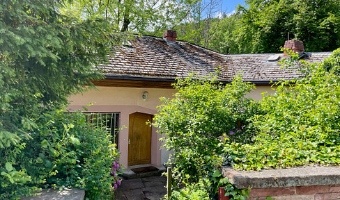 Architect's house near Neustadt on a magnificent 2,800 sqm plot in the Palatinate Forest Nature Park