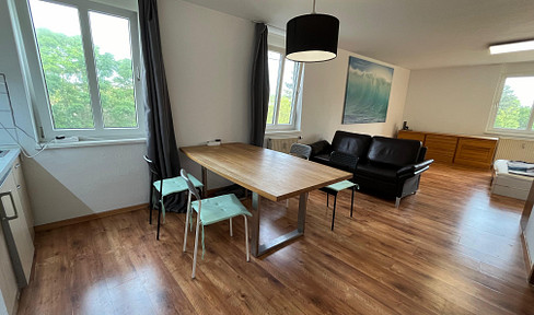 Beautiful, bright 1-room apartment