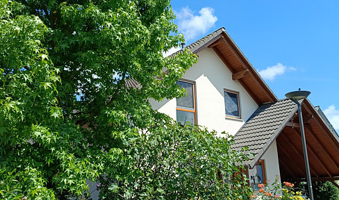 Low-energy detached house with 295 m² total area near Frankfurt/Main - From private owner -