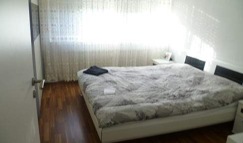 4.5 rooms with south-facing balcony in Rennerod