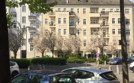 Fully furnished ground floor apartment in Prenzlauer Berg