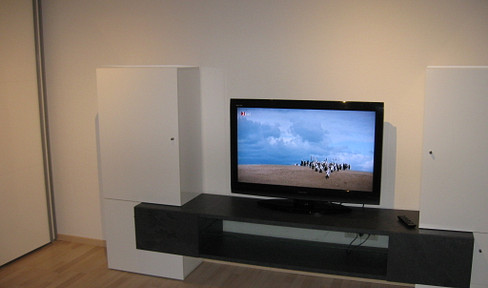 Furnished one-room apartment in 73235 Weilheim-Teck.