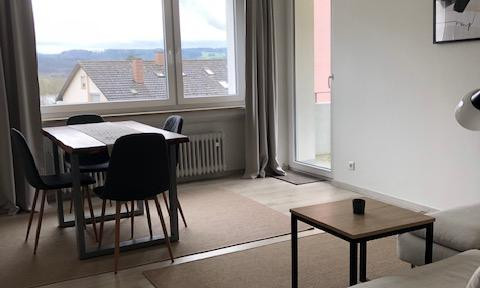 As-new, furnished 2-room apartment with view of the Rhine and balcony