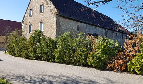 Residential house in need of renovation with large barn