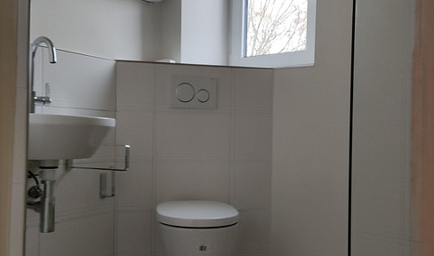 First occupancy after renovation: 4-room apartment in the southern part of the city / close to the city center.