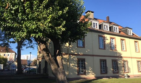 MÖBLIERTE Appartments mit Parkblick für 1 Person