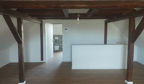 Family dream with barn or building plot