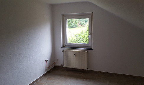 Very nice renovated attic apartment 1.5 ZKB + single EBK